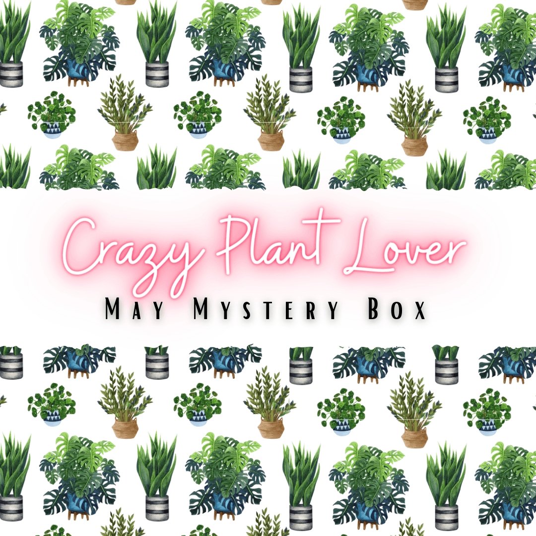 Marshmallow Moon Mystery Box - Crazy Plant Lover - Lost Minds Clothing