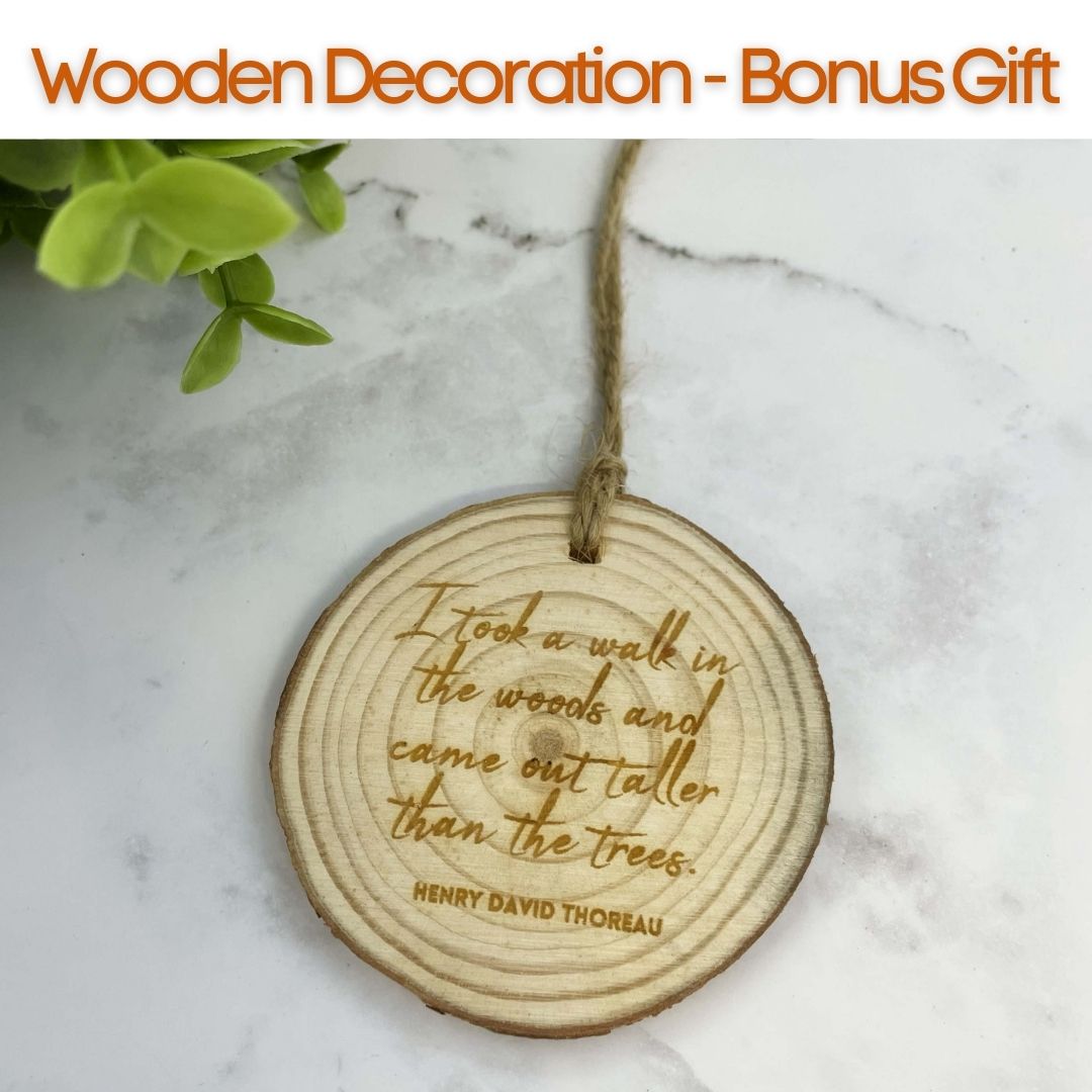 Masrhmallow Moon Mystery Box - Into The Woods - Lost Minds Clothing